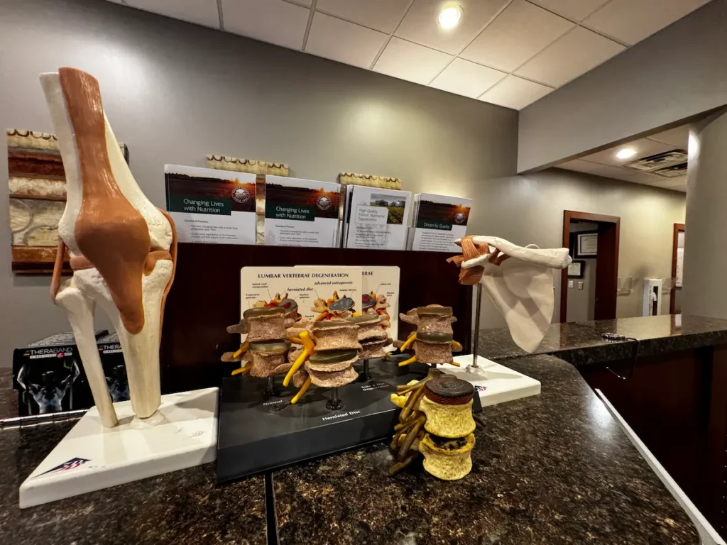 Anatomical models of a knee, lumbar vertebrae showing degeneration, and a shoulder joint displayed on a counter in a medical office, with health brochures in the background.