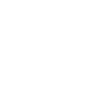 Icon of a human torso from the back with a spine, showing radiating lines around one vertebra indicating pain.